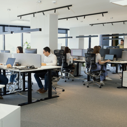 Das Language-Bear-Team arbeitet an Schreibtischen und Computern in einem hellen Großraumbüro.